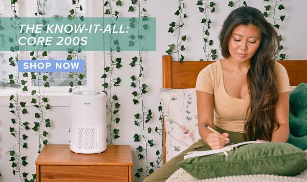 core mini air purifier