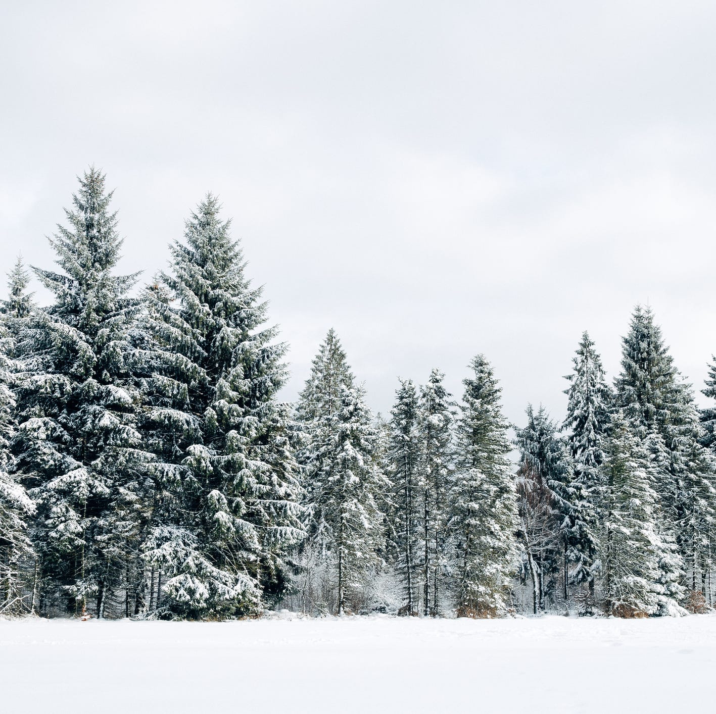 The 'Old Farmer’s Almanac' Predicts a Surprising Winter Forecast 2025