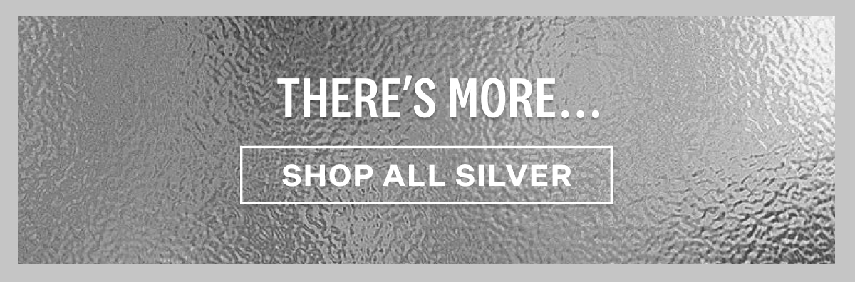 Shop Silver