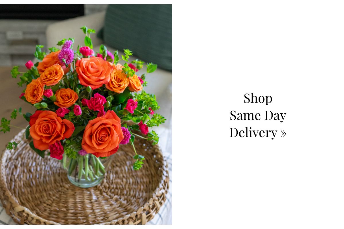 Shop Same Day Delivery »