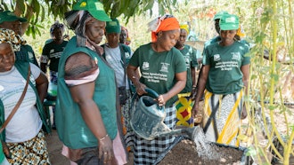 Mariama Sonko and other members of the 'Nous Sommes la Solution' movement take part in a lemon balm pecking workshop, Niaguis, Senegal, March 7, 2024.