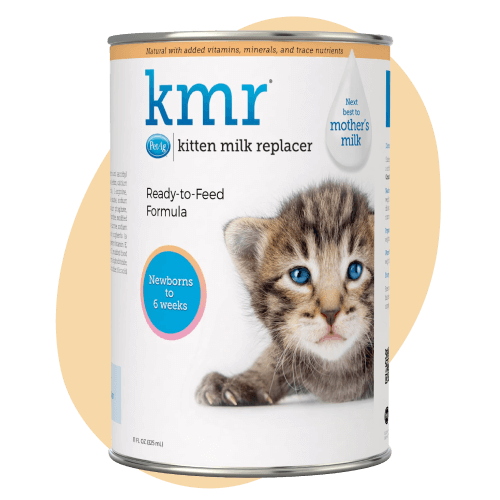 PetAg KMR Powder Milk Supplement for Kittens