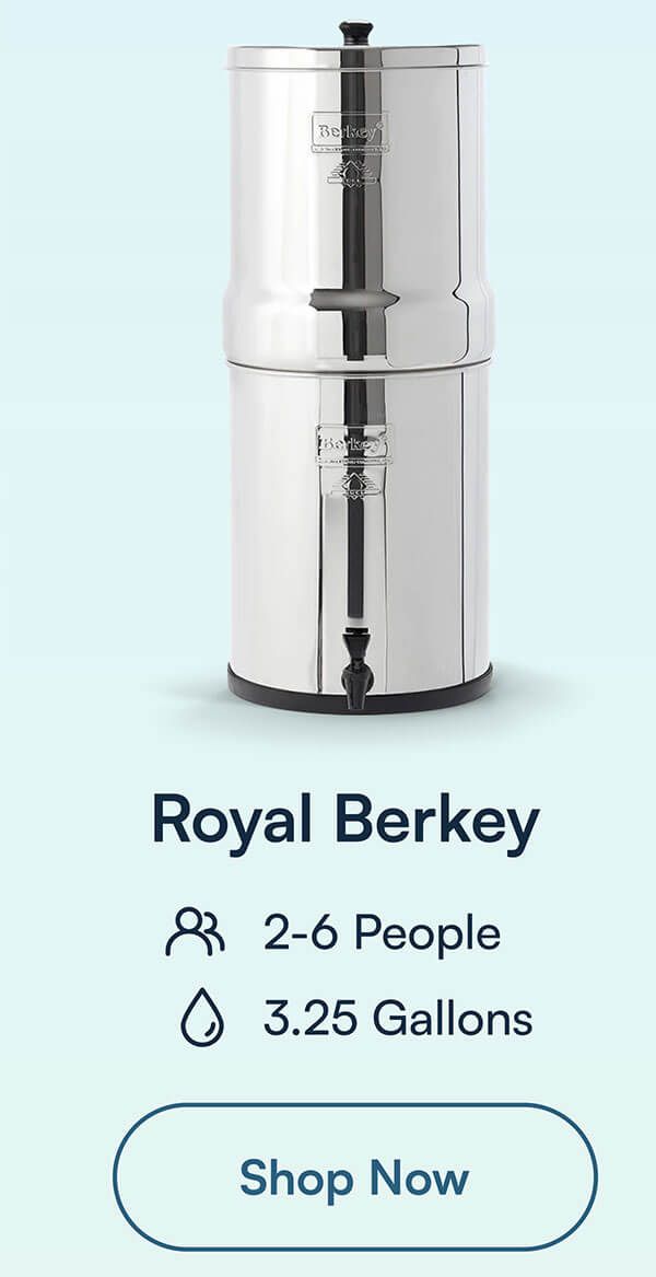 Royal Berkey