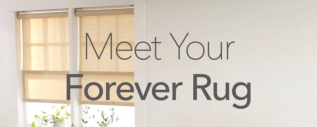 Meet Your Forever Rug