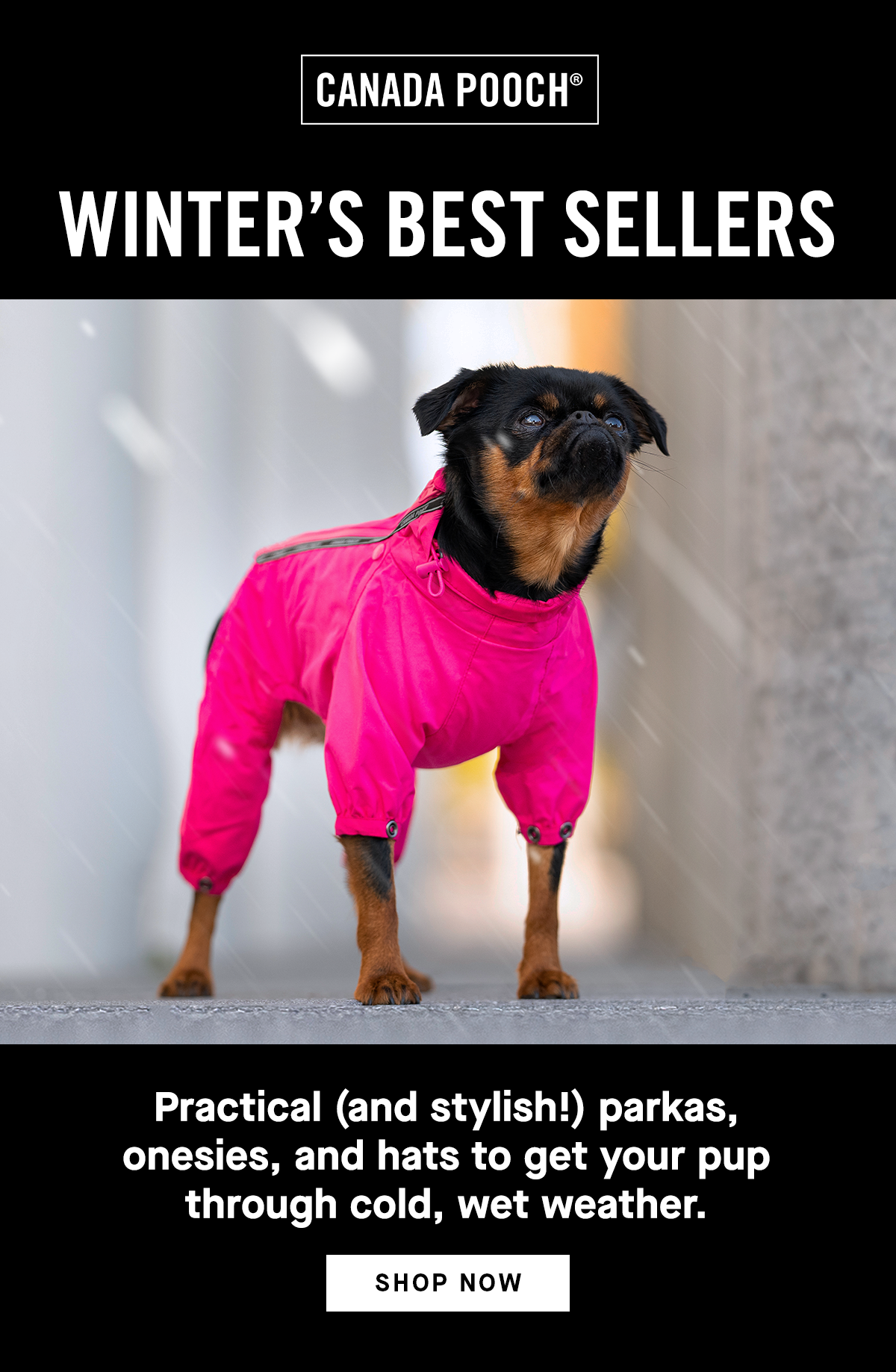 Winter Best Sellers - Practical (and stylish!) parkas, onesies, and hats to get your pup through cold, wet weather - SHOP NOW