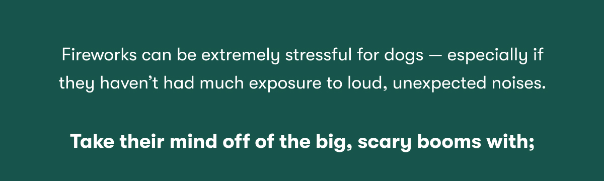 Fireworks can be extremely stressful for dogs – especially if they haven't had much exposure to loud, unexpected noises. Take their mind off the big, scary booms with;