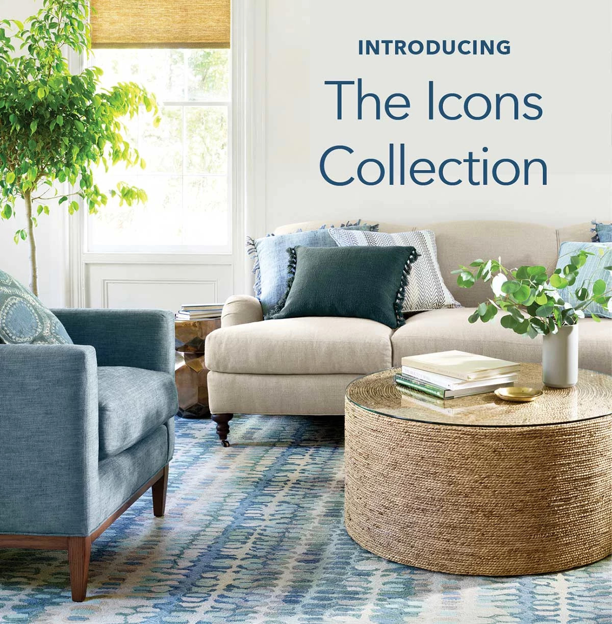 Introducing The Icons Collection