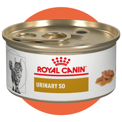 Royal Canin Veterinary Diett