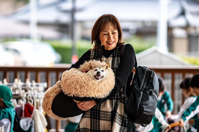 Kabosu, the Shiba Inu who inspired the doge meme, in her owners arms