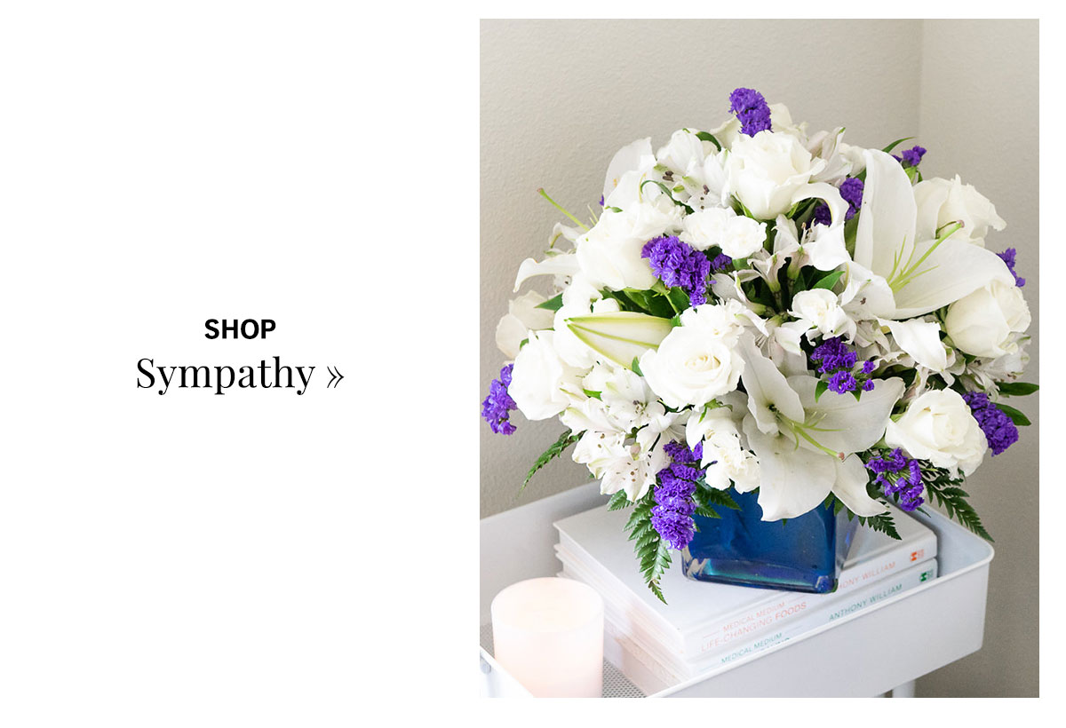 Shop Sympathy »