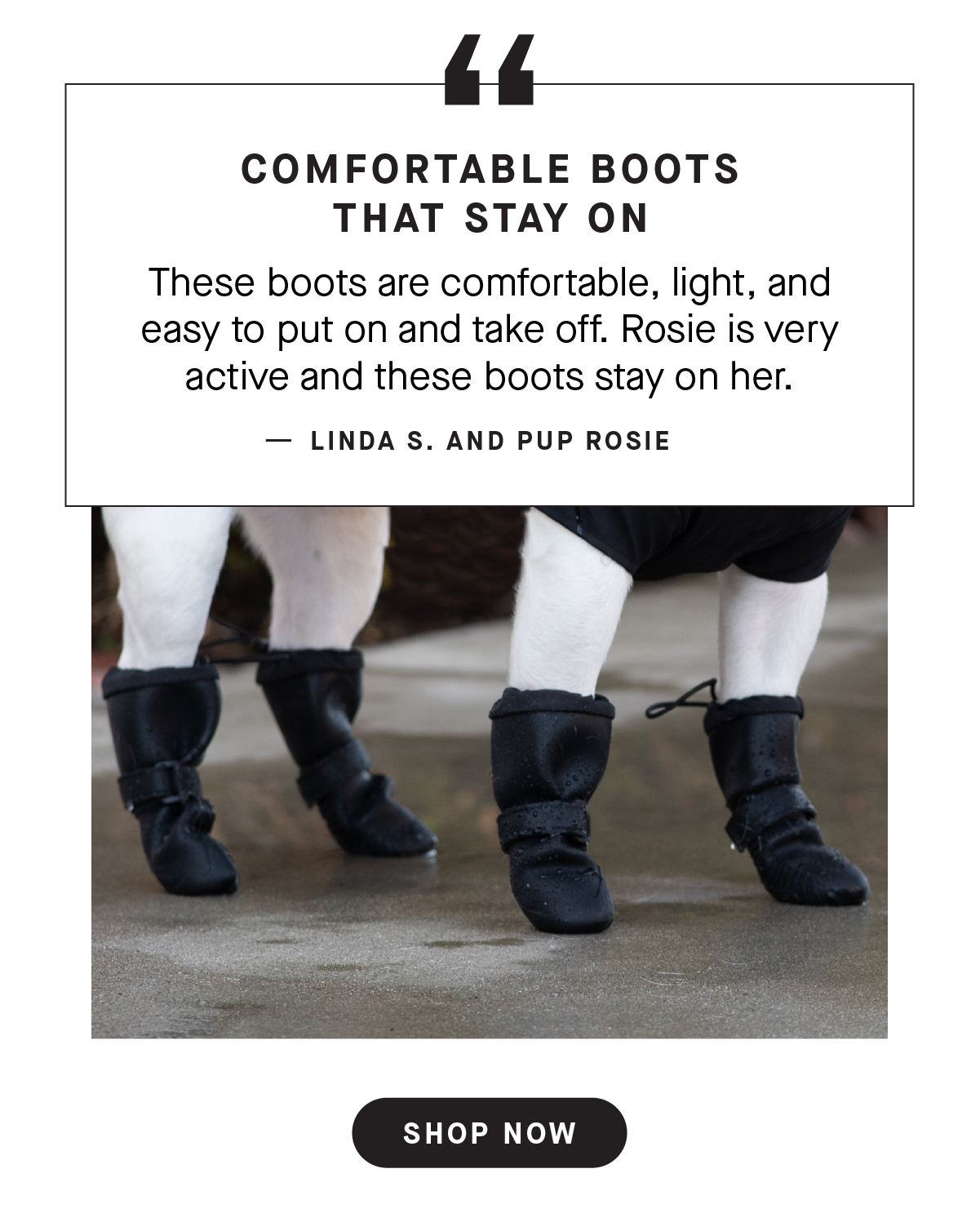 Dog wearing Black Waterproof Boots - Comfortable Boots that stay on, "These boots are comfortable, light, and easy to put on and take off. Rosie is very active and these boots stay on her."  Linda S. and Pup Rosie