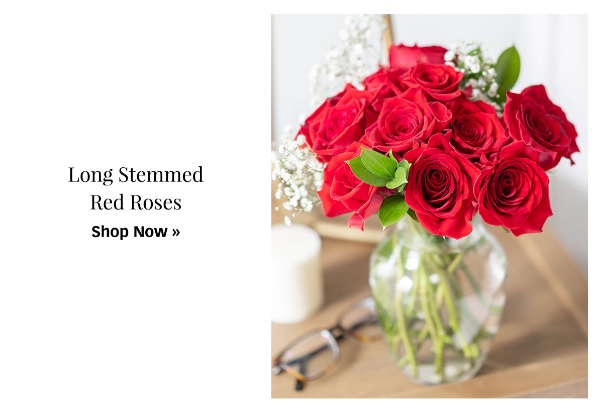 Shop Red Roses »