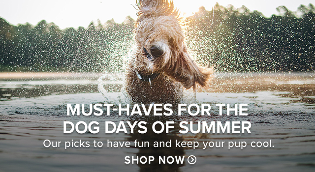 Must-Haves For The Dog Days Of Summer Our picks to have fun and keep your pup cool.