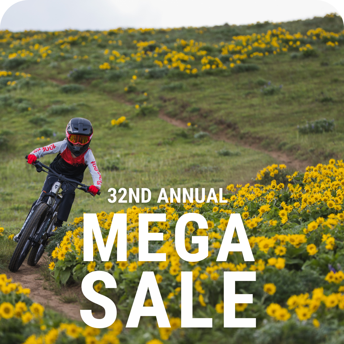 Mega Sale