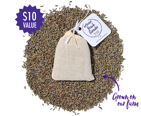 Lavender Sachet