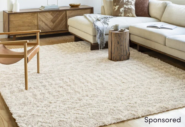 Must-Grab Ivory/Cream Area Rugs