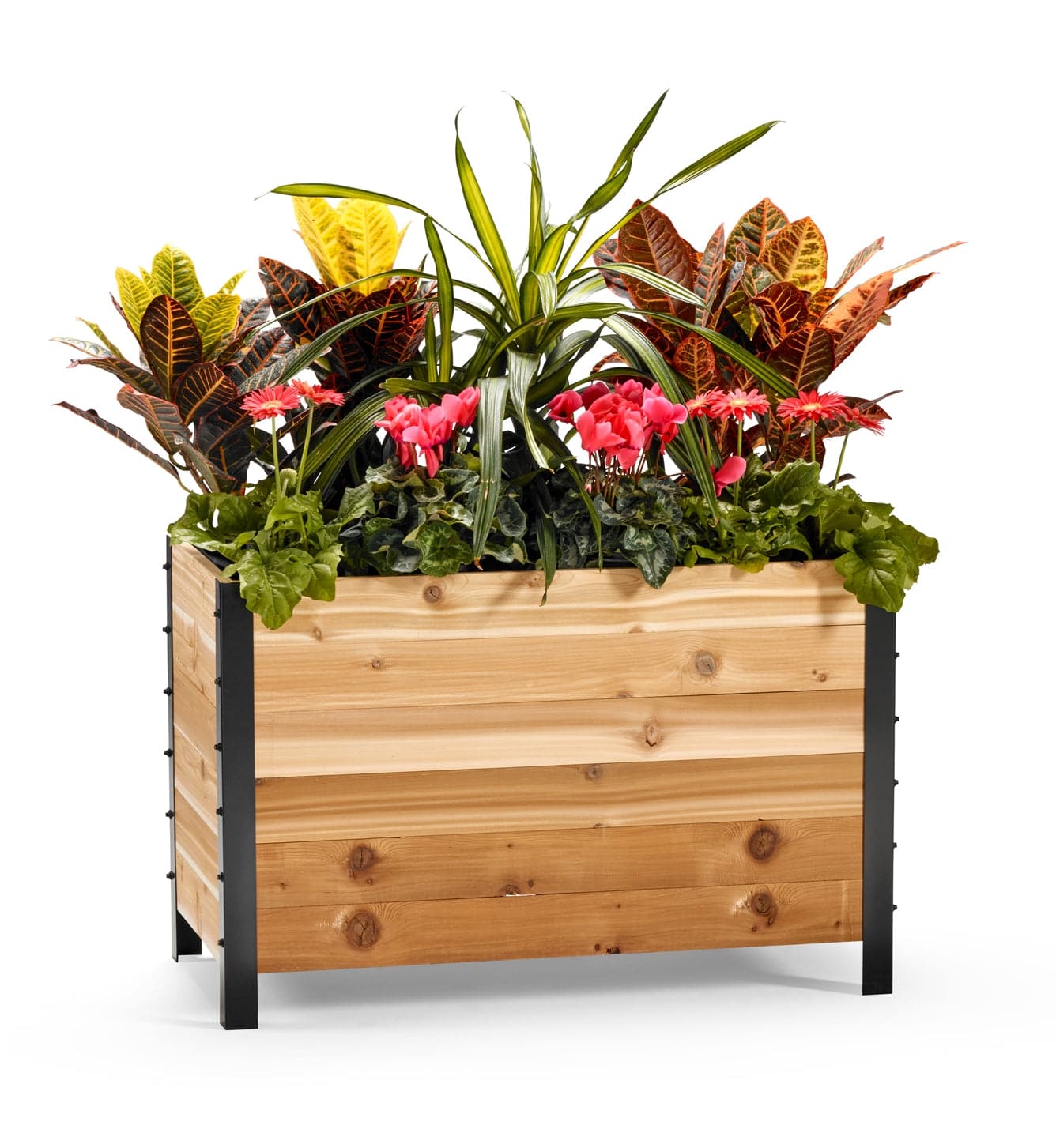 Image of 18" x 36" Planter Box - 24" Tall