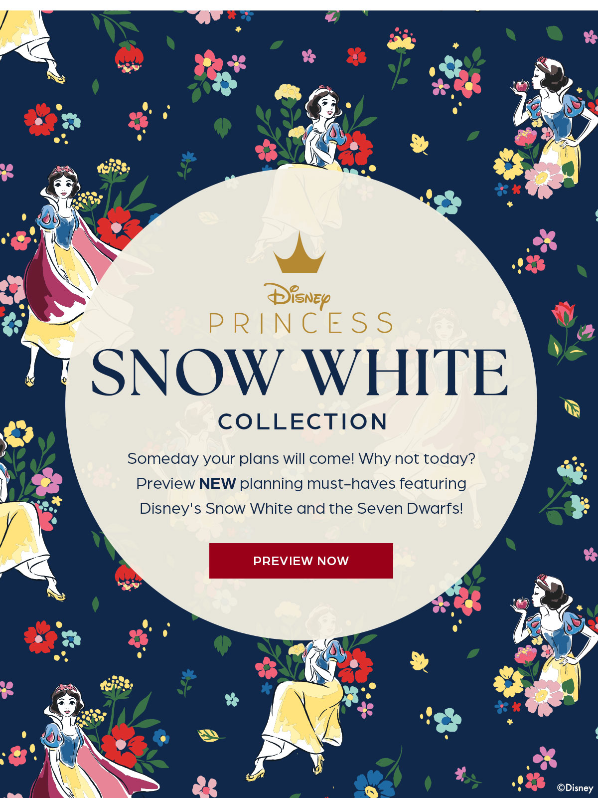 Disney Snow White Collection- Preview Now