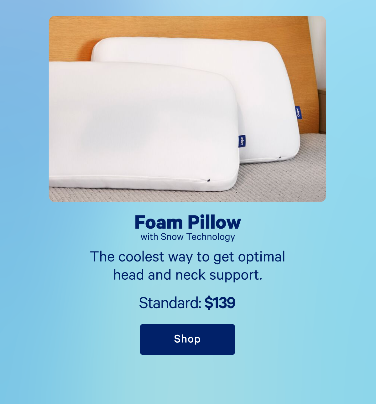 Foam Pillow with Snow Technology >> Shop >>