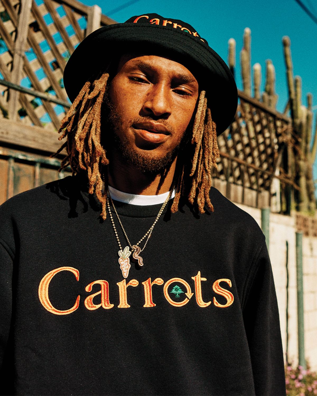 Shop the LRG x Carrots Collab