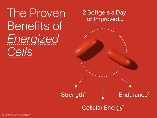 Timeline Nutrition