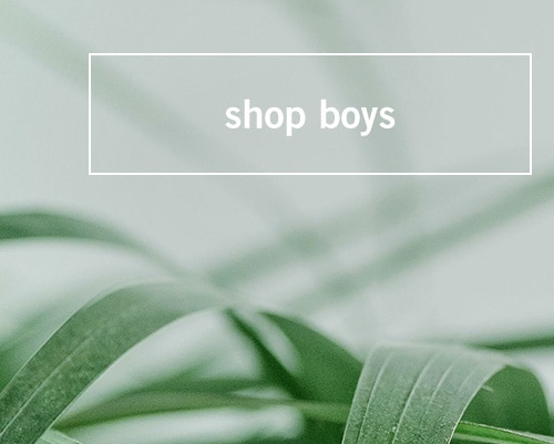 shop boys