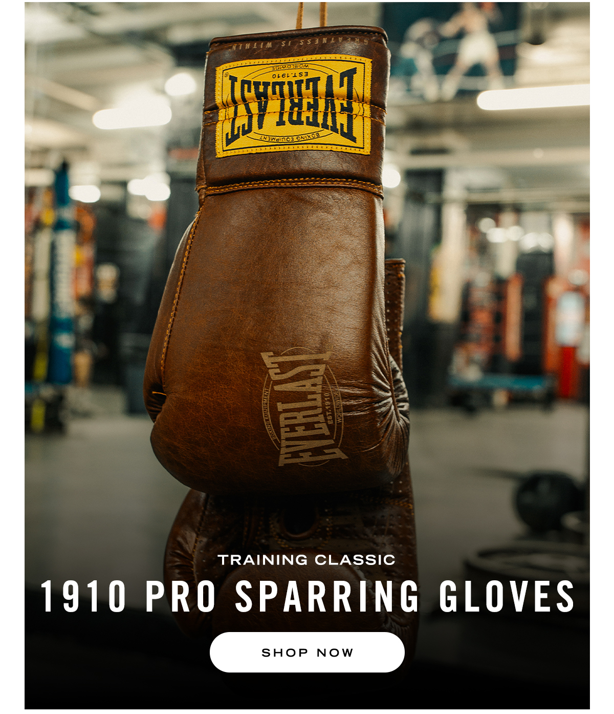 1910 Pro Sparring Gloves