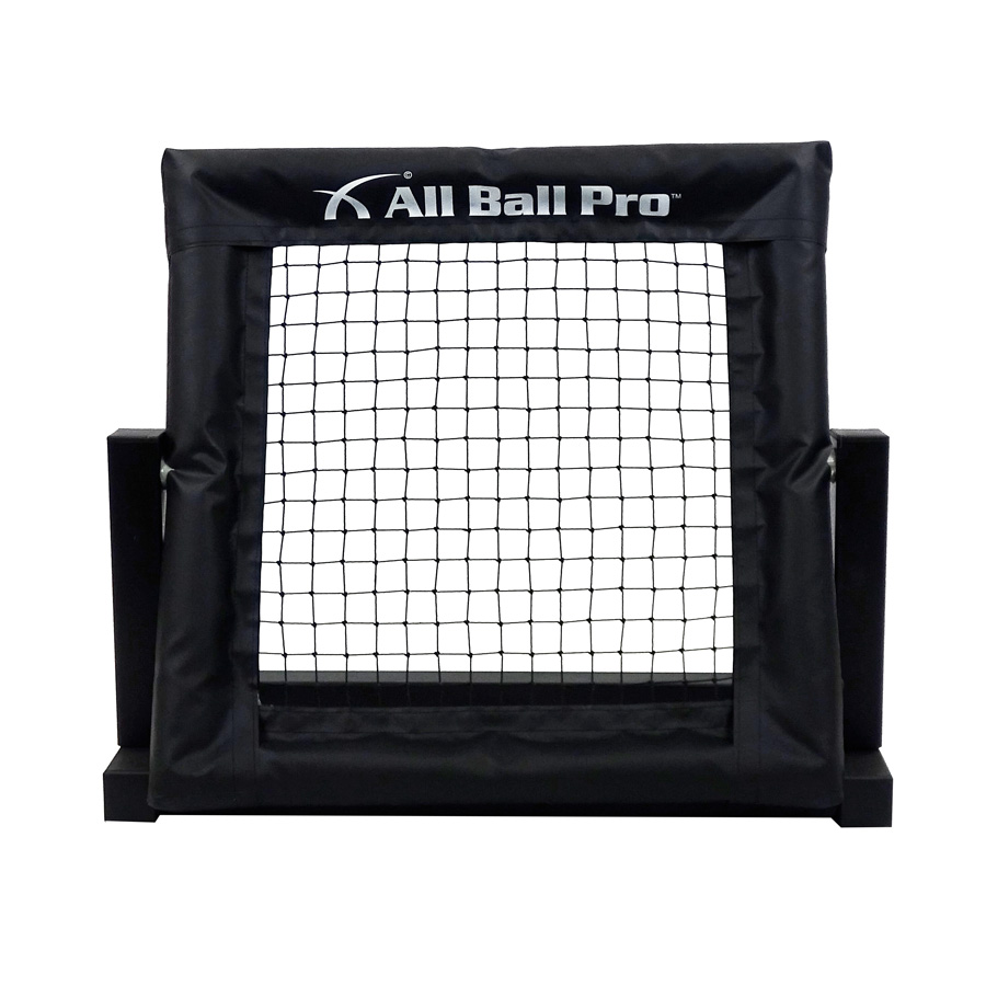 Image of All Ball Pro Mini Pro