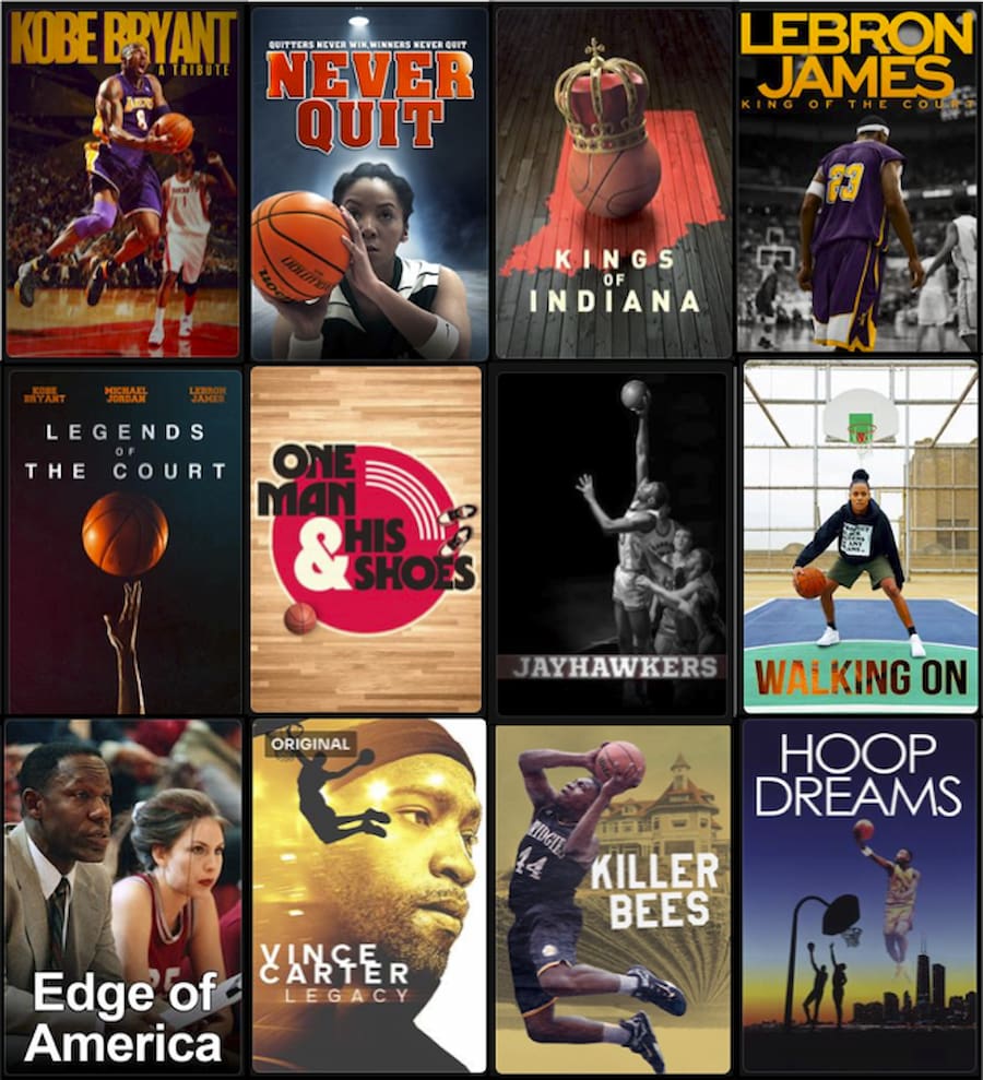 Available titles include: 'LeBron James: King of the Court', 'Never Quit', 'Walking On', 'Edge of America'