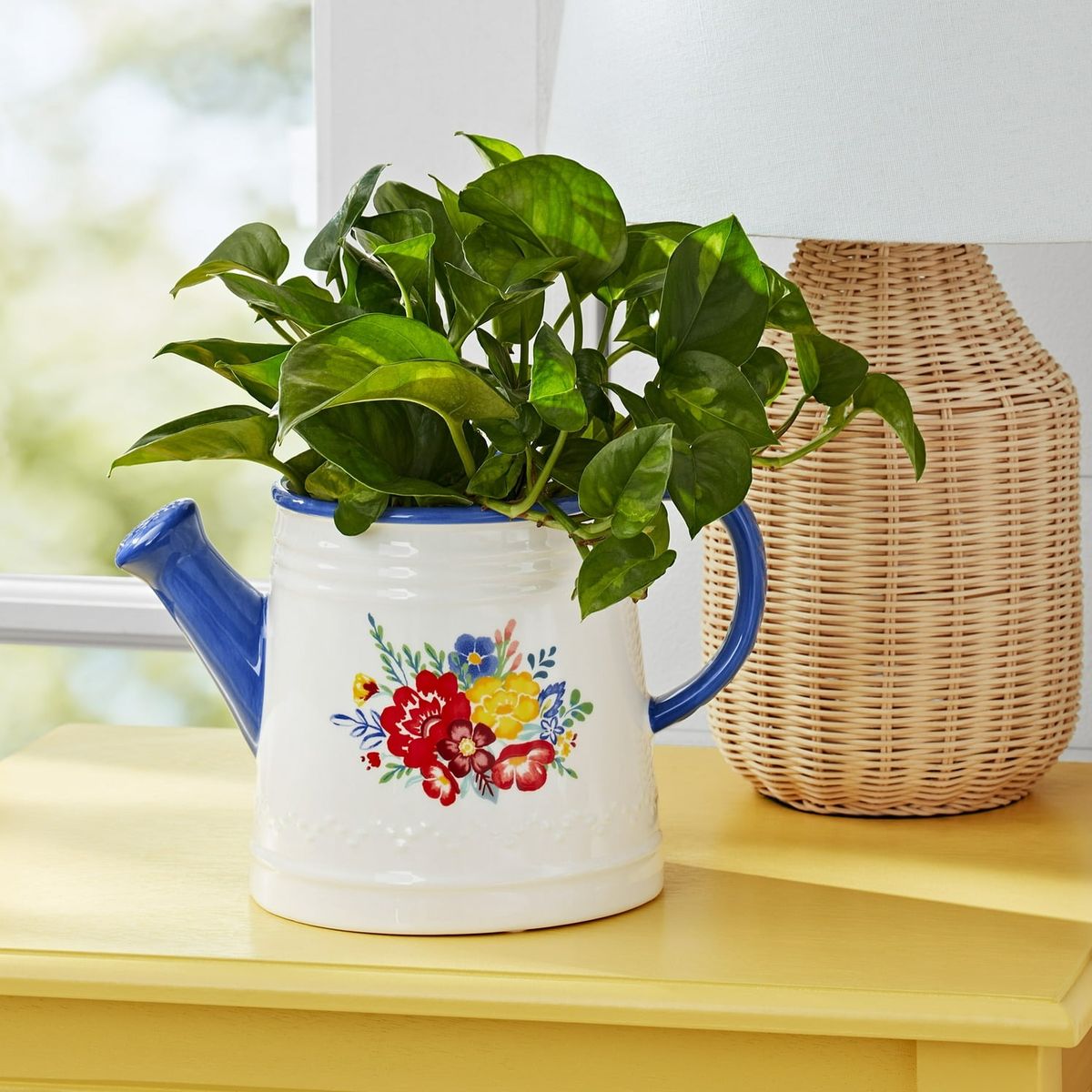 Ree Calls Her Watering Can Planter the 'Cutest in the World'