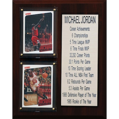 Michael Jordan  8'' x 10'' Plaque