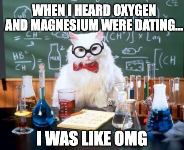 Meme of a cat telling a science joke