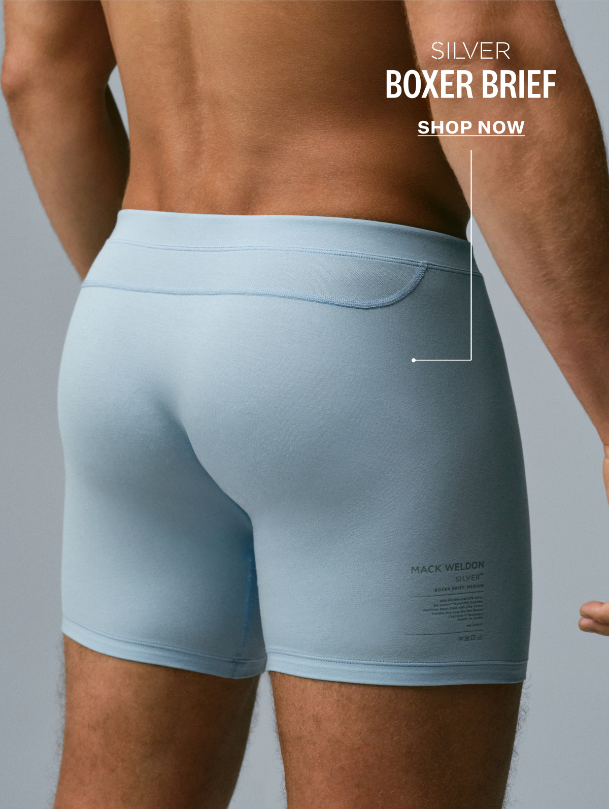 SILVER Boxer Brief