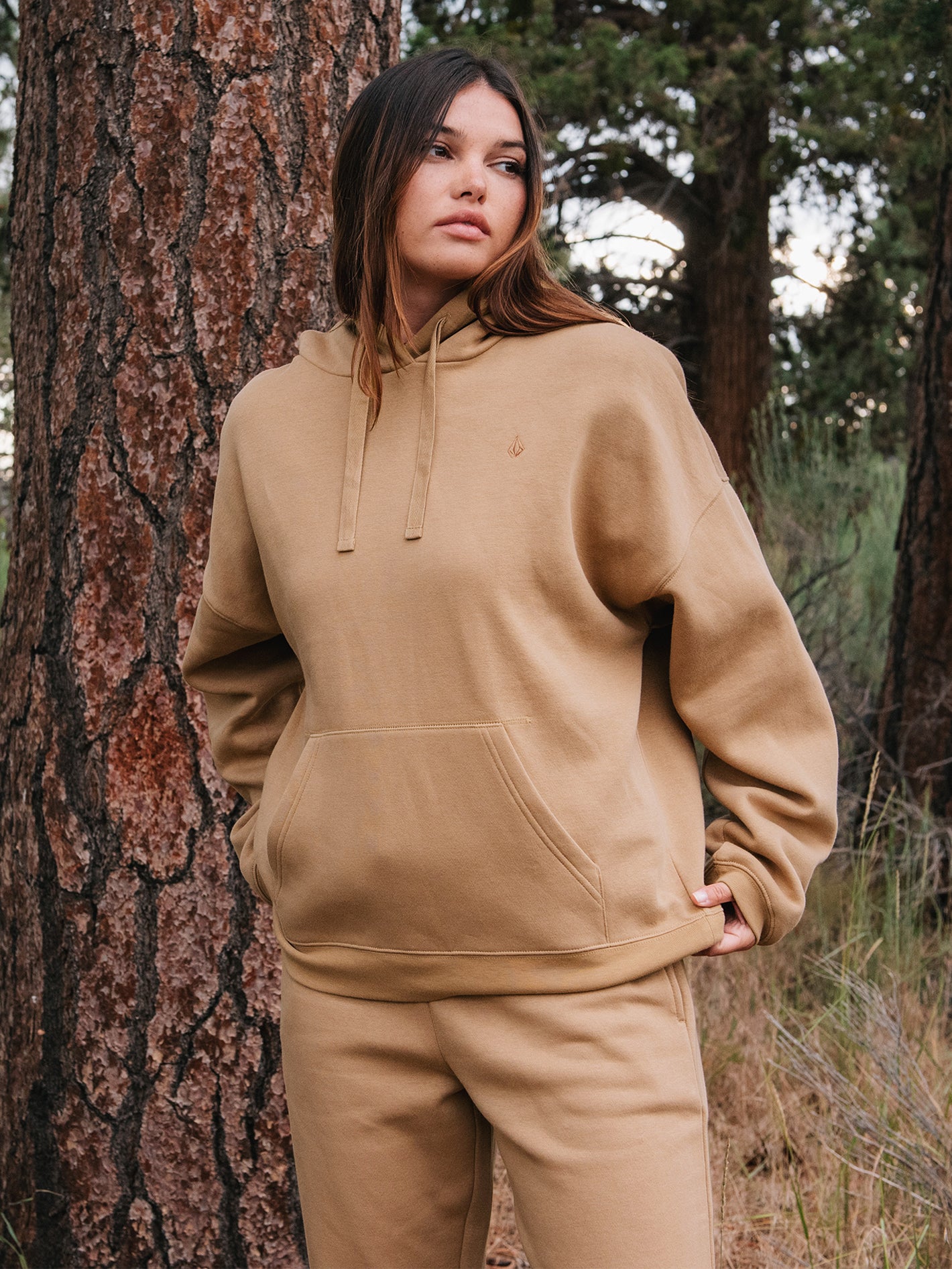 Image of Stone Heart II Hoodie - Mocha