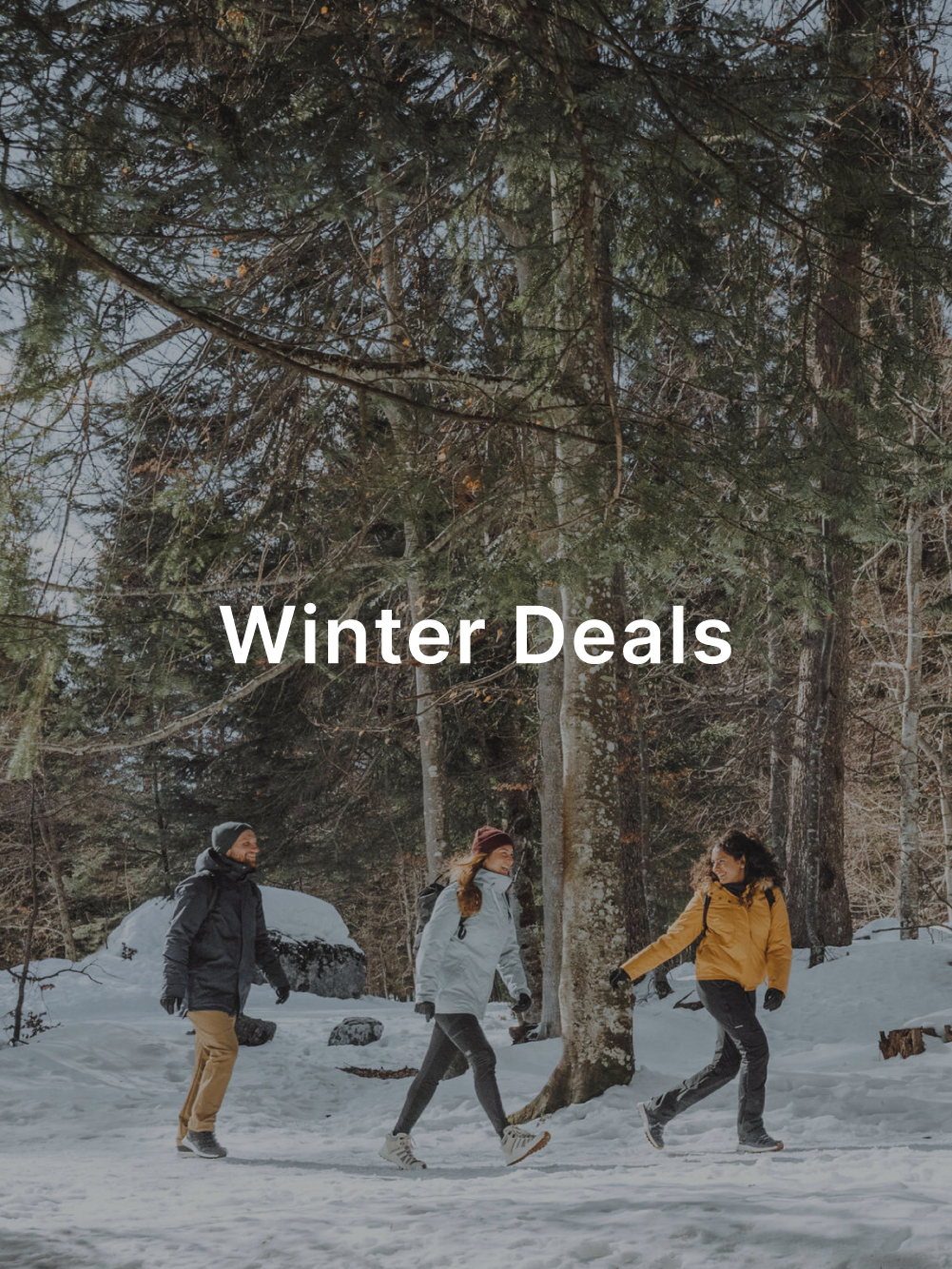 Winter Deals