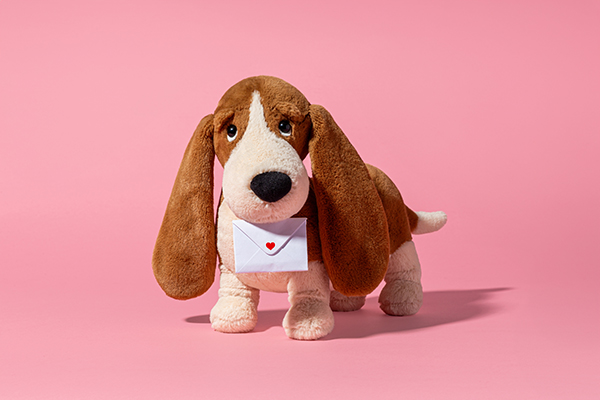 Basset-Hound-love-letter